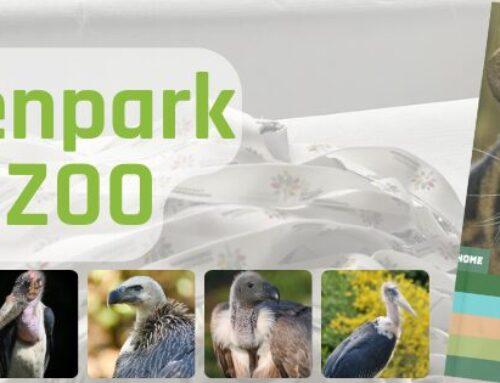 Dierenpark ZiE-ZOO opent nieuwe volière voor aaseters