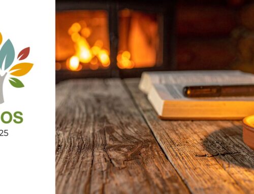 Fotoverslag terugblik 2025